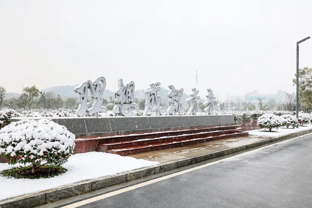 瑞雪兆有年，邀您共赏雪中尊龙凯时！